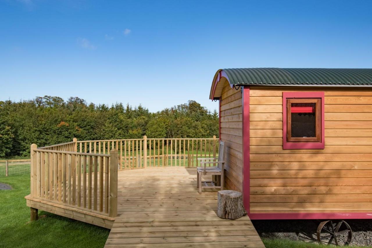 Foxglove Shepherd'S Hut Бервик-апон-Твид Экстерьер фото